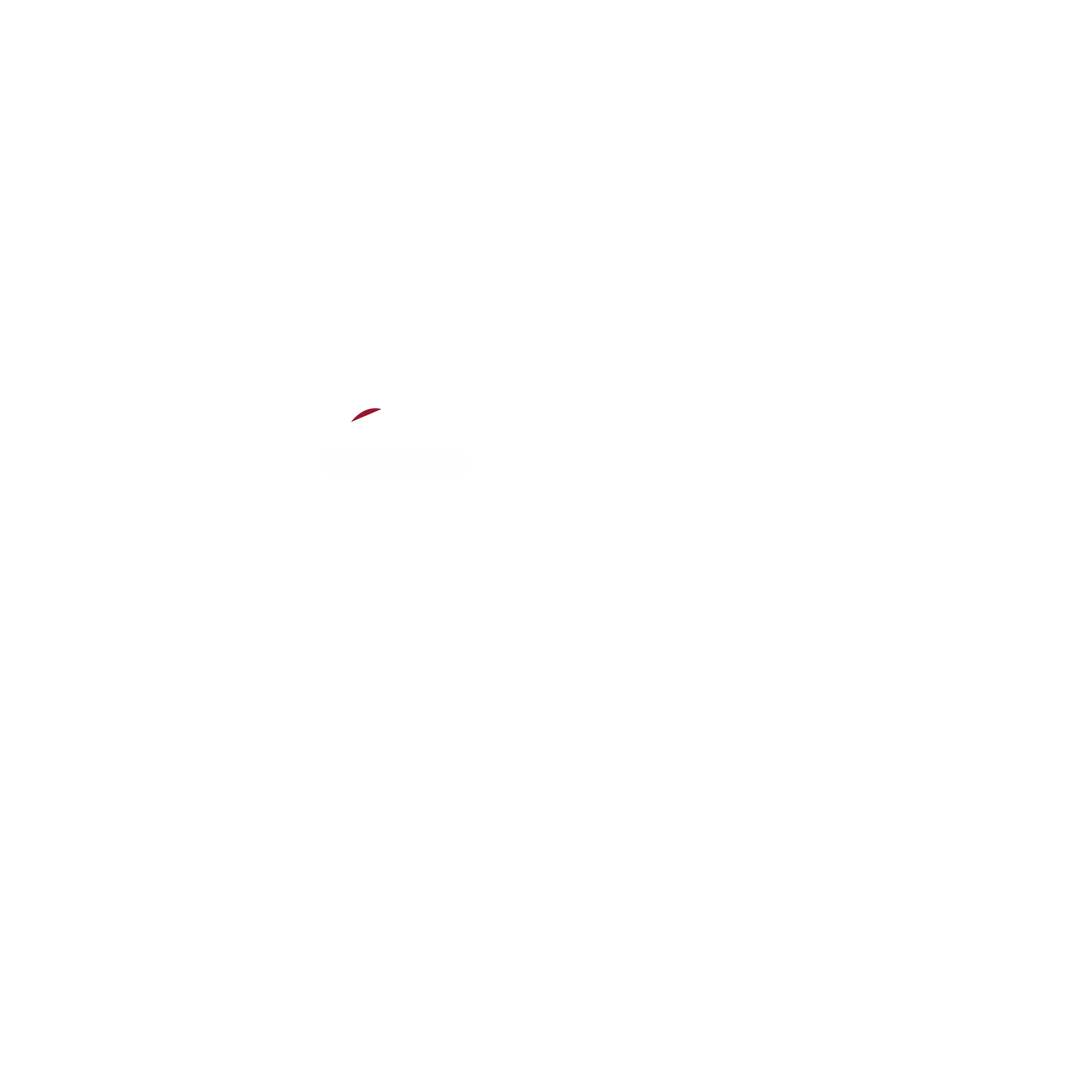 Robert Bistro